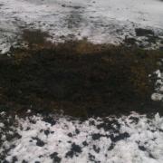 Храм св.Марии Магдалины