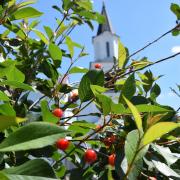 храм святой Марии Магдалины, Троица